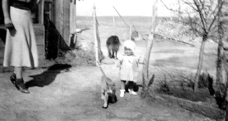 <baby adrienne in grandma turner's yard. Tip the dog and a cat can be seen in the photograph>