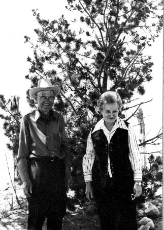 <pinon pine tree planted at ranch>