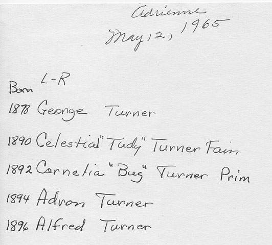 <george turner 1878 Celestia tudy turner fain 1890 cornelia but turner prim 1892 adron turner 1894 alfred turner 1896>