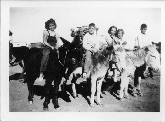 <cousin donna rombold riding a burro>