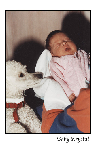 <baby krystal> White Poodle