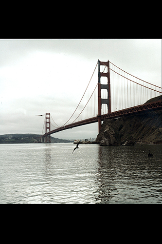 <san francisco golden gate bridge>