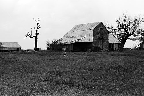 <medlan place barn>