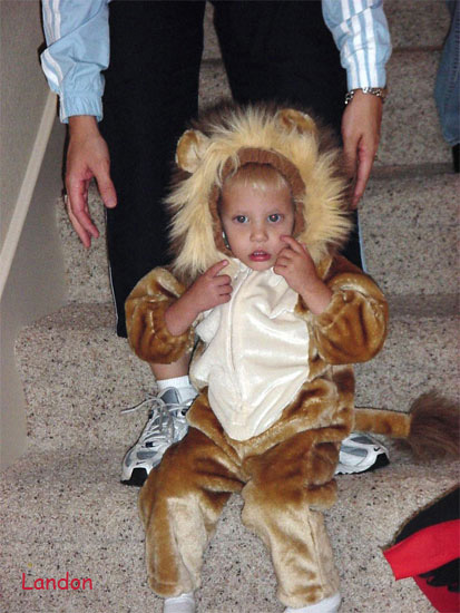 <landon lion halloween>