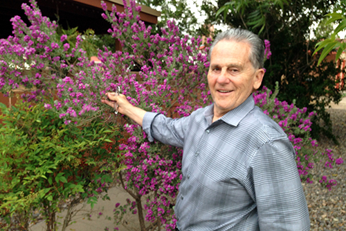 james cassan sweetbabyjames with texas sage