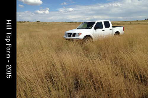 hill top farm nissan