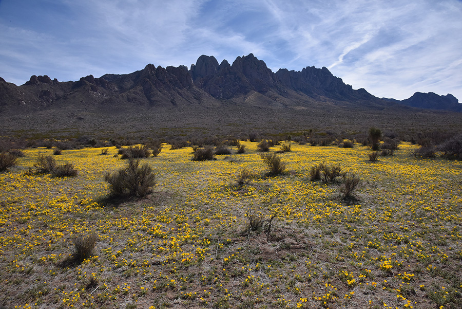 Organ Mountains