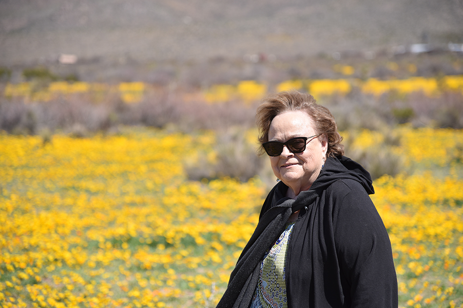 janell organ mountains yellow poppy flowers